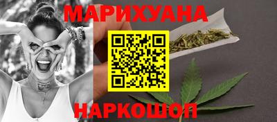 сатива Краснознаменск