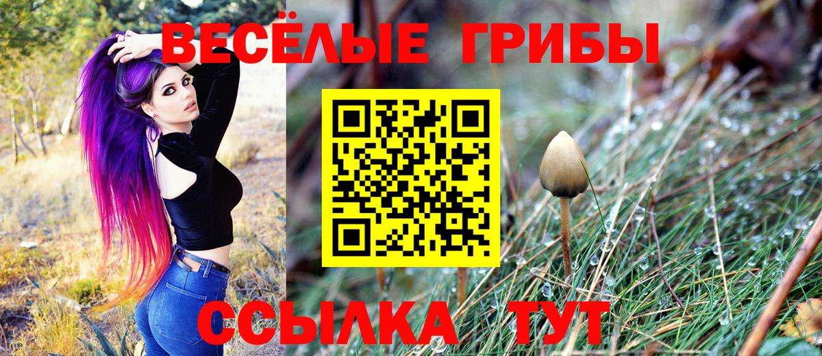 Галлюциногенные грибы Cubensis Каспийск
